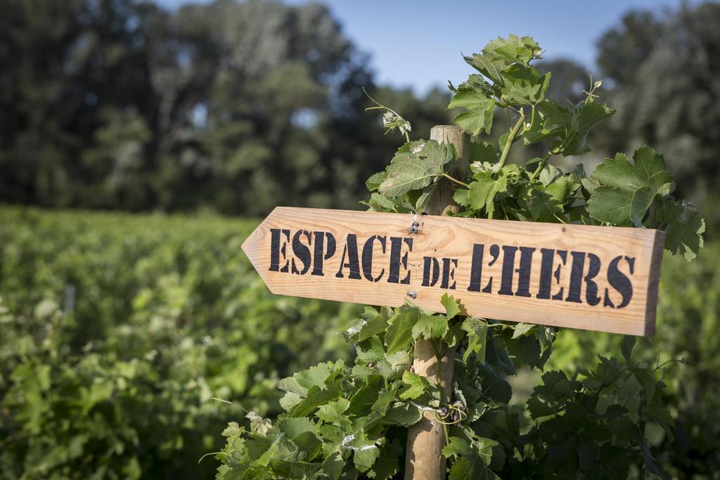 Espace De L'Hers ชาโตเนิฟ-ดู-ปาป ภายนอก รูปภาพ